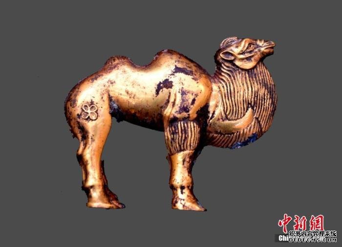 图为出土的金骆驼。秦始皇帝陵博物院 供图