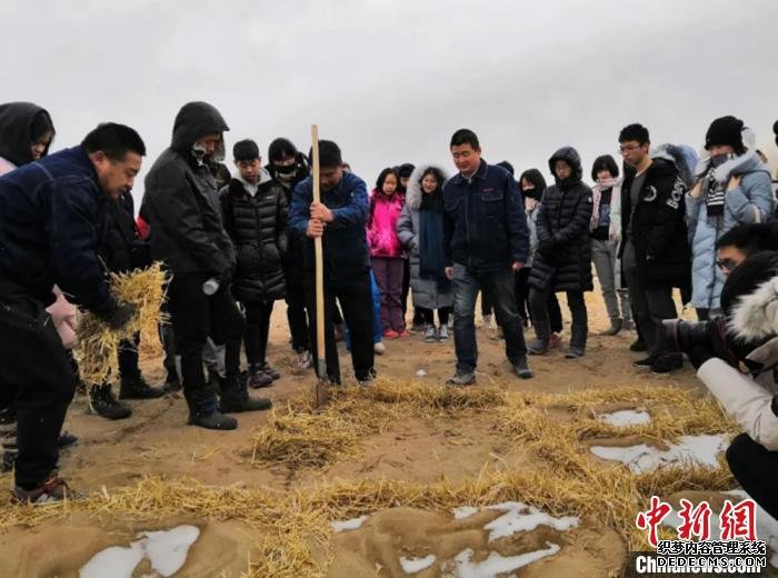 图为深圳师生体验莫高窟治沙工程，亲手种下了一方草方格。　杜玉磊 摄